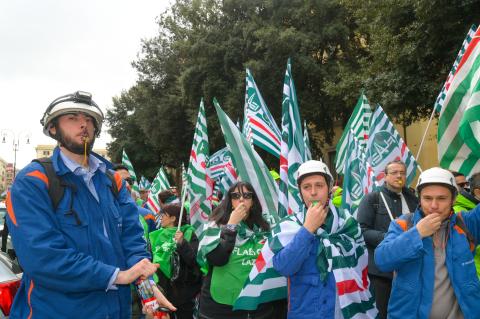 DSC_3527.jpg