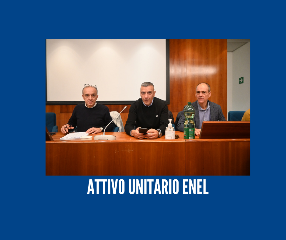 ENEL, SINDACATI: L'AZIENDA DEVE CAMBIARE DIREZIONE. I LAVORATORI NON SONO UN COSTO, MA UN INVESTIMENTO.
