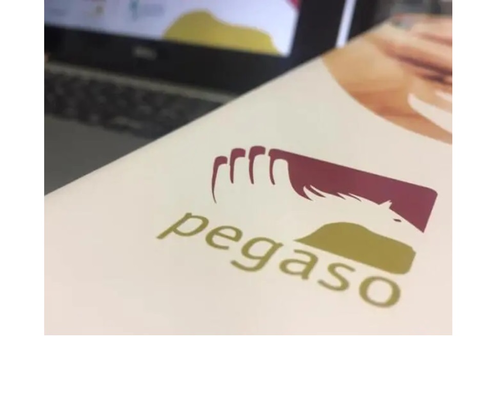 PEGASO - Assemblea dei Delegati e iniziative di comunicazione